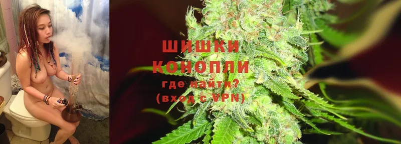 Конопля Ganja  Южно-Сухокумск 